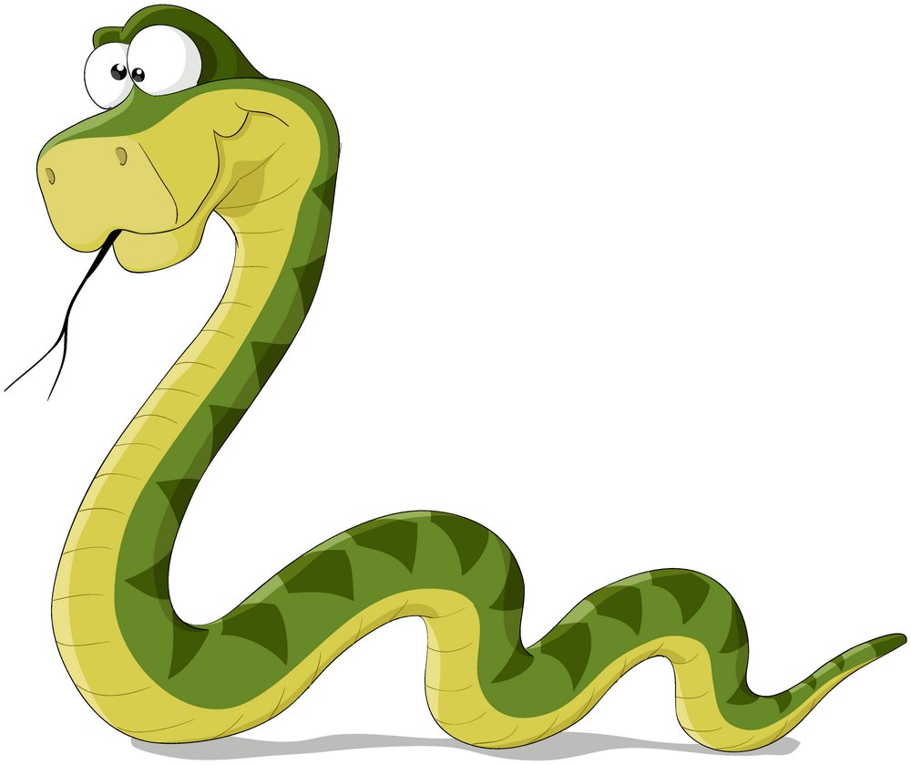 15年生肖蛇的开运吉祥物 好名字网